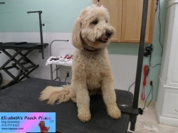 wrigley-before-06-27-2014