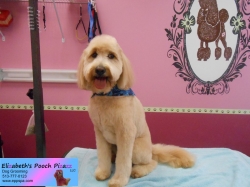 wrigley-pizazz-06-27-2014