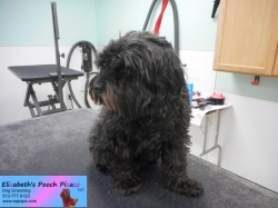 xavier-before-11-13-2014