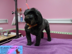 xavier-pizazz-11-13-2014