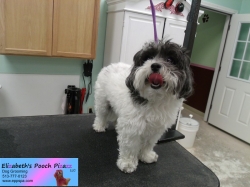 bailey-before-09-13-2014