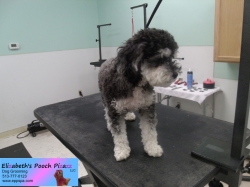 bella-before-08-26-2014