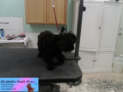 bella-before-09-04-2014