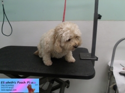 bella-before-09-06-2014