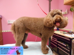 benny-pizazz-07-30-2014