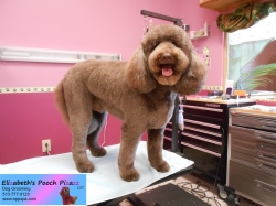 benny-pizazz-08-28-2014