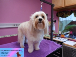 charlie-pizazz-09-18-2014