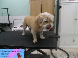 chloe-before-08-28-2014
