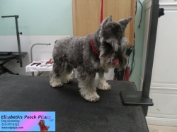 coco-before-09-06-2014