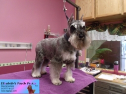 coco-pizazz-09-06-2014