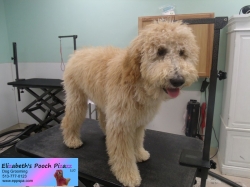 elsa-before-09-07-2014