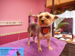 jessie-pizazz-09-21-2014