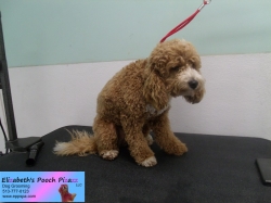 koby-before-08-29-2014