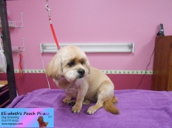 laci-pizazz-08-28-2014