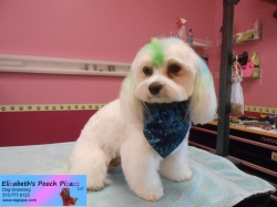 leo-pizazz-07-09-2014