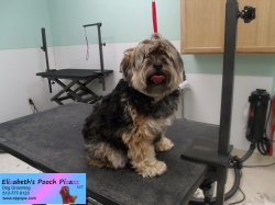 maddie-before-08-20-2014