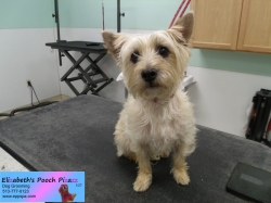 maxie-before-09-18-2014