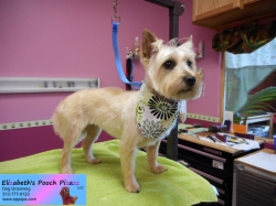 maxie-pizazz-09-18-2014