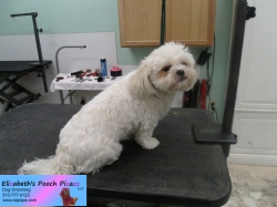 mickey-before-08-28-2014