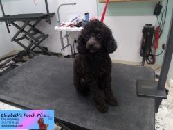 millie-before-09-07-2014