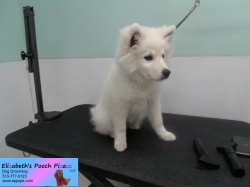 nick-before-08-28-2014