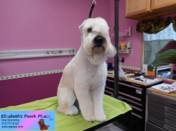 otis-pizazz-09-17-2014