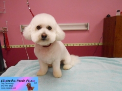 parker-pizazz-08-27-2014