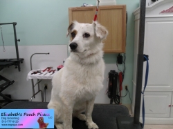 penny-before-08-15-2014