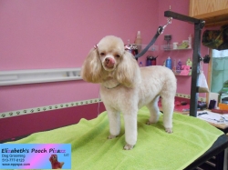 rosie-pizazz-08-27-2014