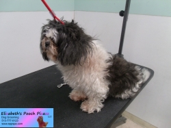 sophie-before-08-14-2014
