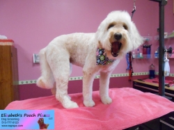 sophie-pizazz-08-23-2014