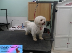 spencer-before-09-07-2014