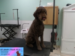 winnie-before-08-26-2014